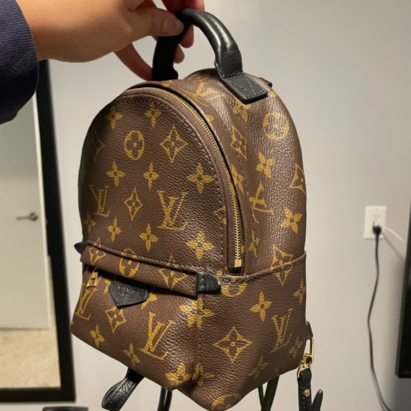 Palm Springs Mini - Picture 3 of 3